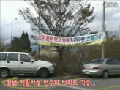 도시미관을 해치는 불법 현수막