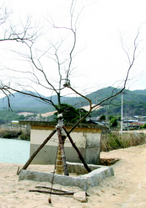 돌매못 안쪽 ‘못안’ → ‘제내(堤內)’