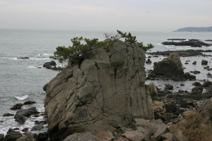 읍천리(邑川里)