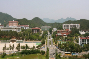 참된 대학봉사 해외에서 까지