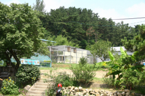 관광도시 경주엔 동물원이 없다