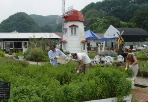 “허브농장 경영” 귀농 성공
