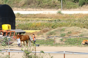 작은 원성이 커져 산이 되어 풀길이 없네