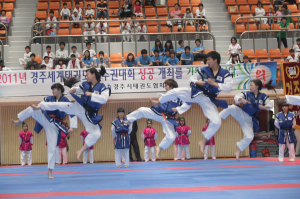 제8회 경주시 태권도협회장기 한마당대회