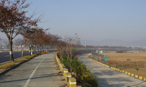 경주의 조선문화산책(29)