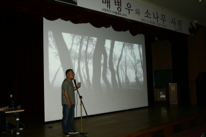 “경주의 소나무에 매료되다”