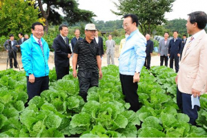 김장철 무·배추 수급안정 대책에 총력!