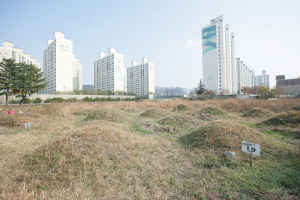 빨라진 문화예술의 도시, 이젠‘행복 추구권’이 걱정