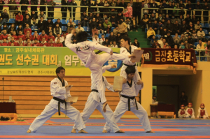 경주, 태권도 발상지 인식 시킬 것