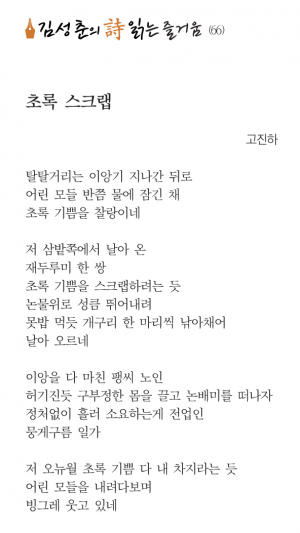 초록 스크랩