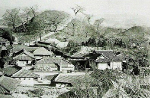 [141]경주봉황대(慶州鳳凰臺)-신라시대 원형 단일 고분 중 가장 큰 고분… 노거수들로 더욱 ‘각광’