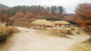 지역 세계문화유산의 보전과 활용-“문화유산 보전 주민이 주인돼야”