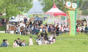 [2]고창 청보리밭 대한민국 경관농업 롤 모델로 평가
