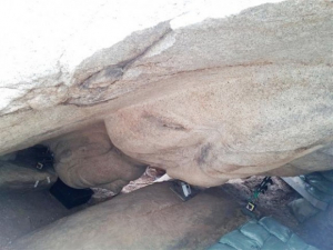 경주남산 마애불 600년전 지진에 넘어져