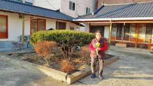 경주, 골목은 살아있다. 골목이 희망이다(2)