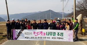 내남면 덕천3리 마을회, 왕벚나무길 조성