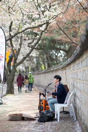 [4월 첫째 주] 경주, 이번 주말 뭐하지?