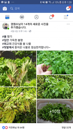 봄나물이 봄꽃보다 좋지요^^