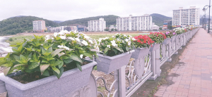 아름다운 경주 만들기 ‘여름 꽃’ 식재