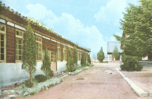 [달래동산] 개교 70주년, 우리 ‘선덕’을 들여다보다