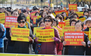 되돌아 본 2019년 경주-2019 기해년, 경주에는 무슨일들이?