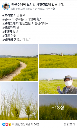 권원수 씨의 보리밭길-보릿고개 이긴 자부심, 짓밟힌 삶 찾는 신호탄이길