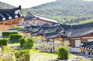 문화·관광·체육시설 운영재개 ‘경주관광 기지개 편다’