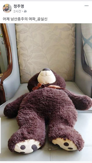 정주영 씨 9일차에 ‘곰 실신’-이번 코스 인증이 경주사람 자격기준 된다면?? 