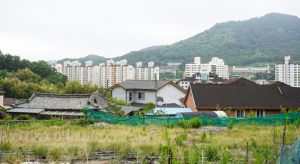 아파트 단지 뒤, 아날로그적 삶의 방식 공존하는 선도동 ‘충효큰마을’