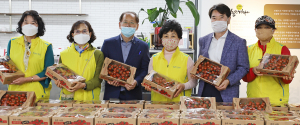 경주시자원봉사단체연합회, 지역농사 살리기‘토마토’공동구매 전개
