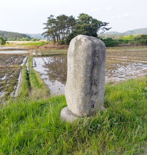 형산강 물길따라(25)-동해를 바라보며 남편을 그리다 숨져간 신라여인 이야기(2)