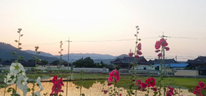 황남동 지척, 마을의 판도 달라지고 있는 ‘국당마을’ -자연부락에서 다양한 삶의 형태 수용하고 발전해가는 마을