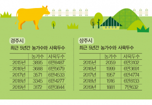 도내 최대 한우 생산지에서 밀려난 경주