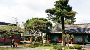 형산강! 물길따라(29) 서전[스웨덴] 두 국왕의 경주방문기념 나무 이야기