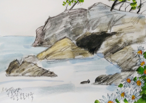 경주의 풍광, 우리의 기억들(42) 전촌항, 태곳적 ‘용굴’ 주변엔 전국 최대 규모 해국들이 절정입니다