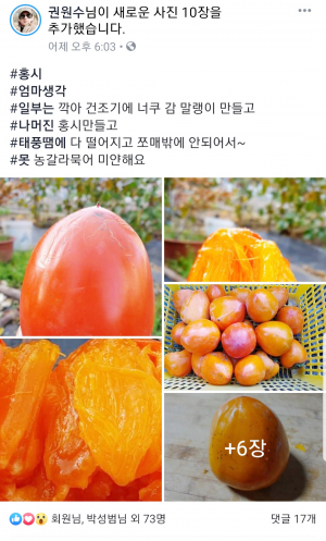 홍시 사진 올린 권원수 씨