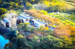 미술관의 비전과 조직·프로그램 속에 경주만의 정체성 녹여내야