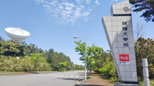 경쟁력 강화 위한 통합 선택한 대학