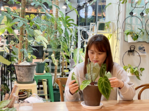 ‘식집사’를 아세요?… 꽃보다 예쁜 잎 가진 희귀식물 매력에 풍덩