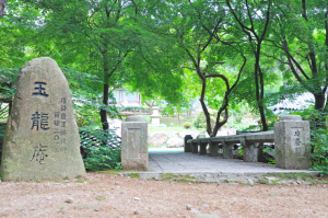 [전인식 시인의 경주인문학산책] 옥룡암과 이육사(2)
