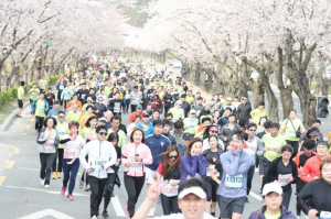 ‘경주벚꽃마라톤대회’ 4년 만에 정상 개최