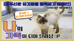 [나의 가족이 되어주세요!] 공고번호 : 경북-경주시-2022-1223