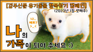 나의 가족이 되어주세요! [공고번호 : 경북-경주시-2023-0037]