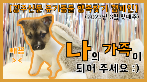나의 가족이 되어주세요! [공고번호 : 경북-경주시-2023-0099]