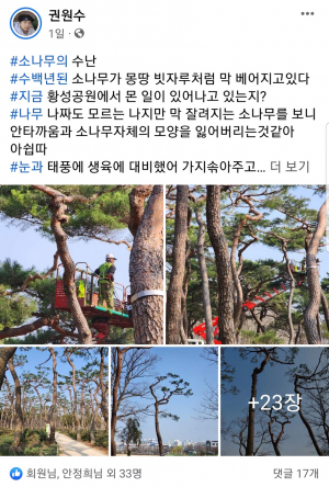 황성공원 소나무 숲에 벌어진 끔찍한 일