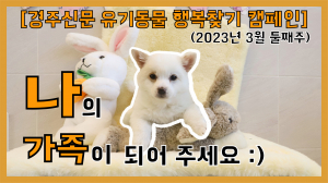 [나의 가족이 되어주세요] 공고번호 : 경북-경주시-2023-0159