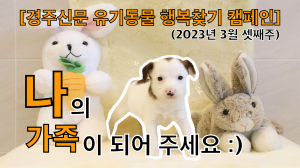 나의 가족이 되어주세요! [공고번호 : 경북-경주시-2023-0200]