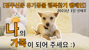 나의 가족이 되어주세요! [공고번호 : 경북-경주시-2023-0124]