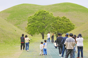 경주 대릉원, 내달 4일부터 무료 개방