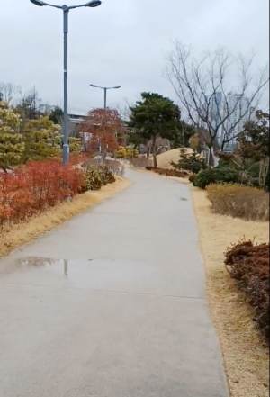 철길이 남기고 간 숲길을 따라서(1) 시민들의 산책길로 인기 얻고 있는 ‘상생의 숲길’